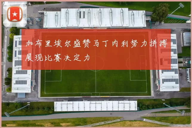 加布里埃尔盛赞马丁内利努力拼搏展现比赛决定力